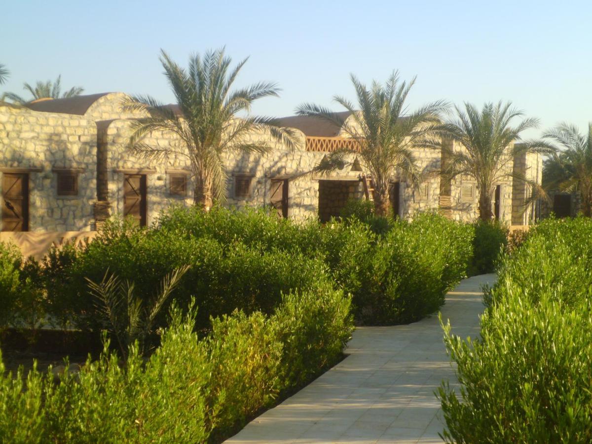 Aliyah Eco-Lodge Bawiti ภายนอก รูปภาพ