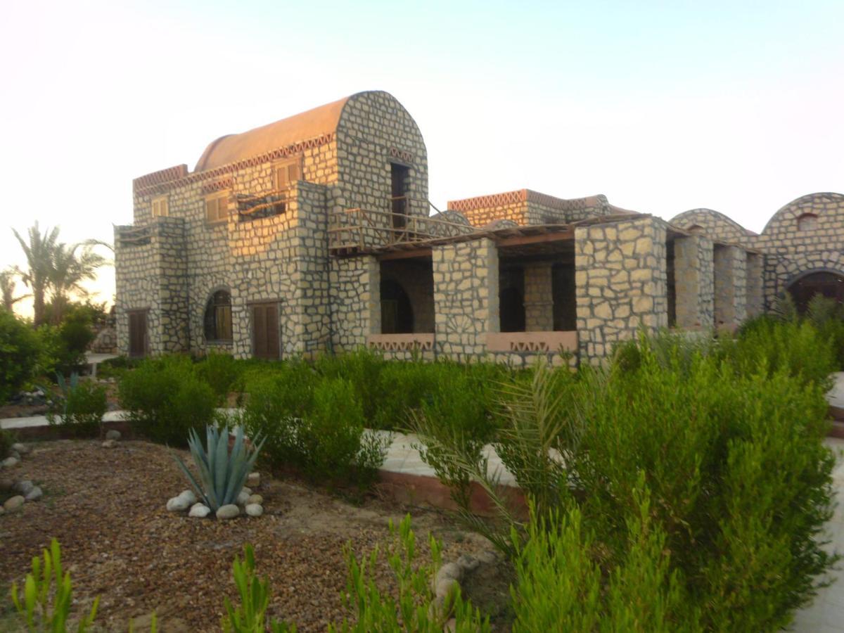 Aliyah Eco-Lodge Bawiti ภายนอก รูปภาพ