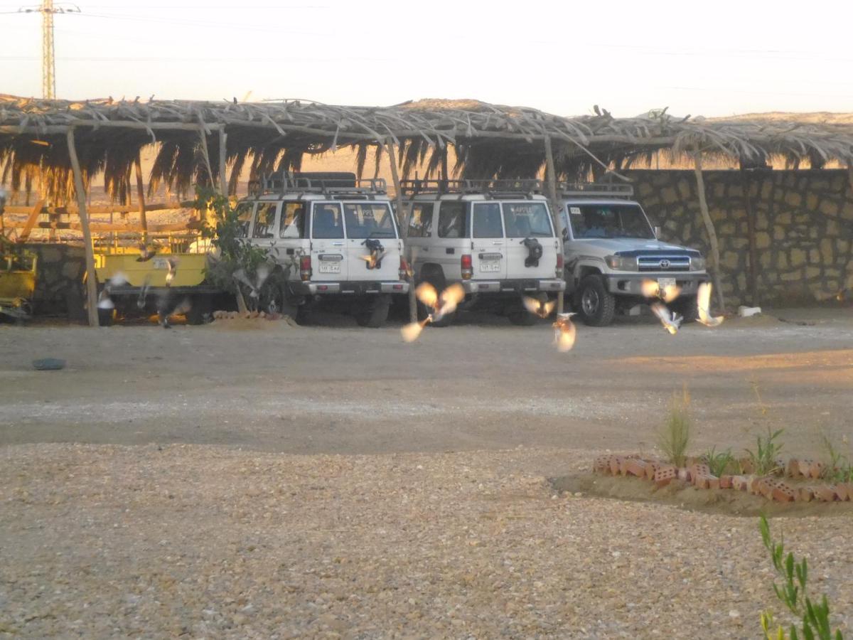 Aliyah Eco-Lodge Bawiti ภายนอก รูปภาพ